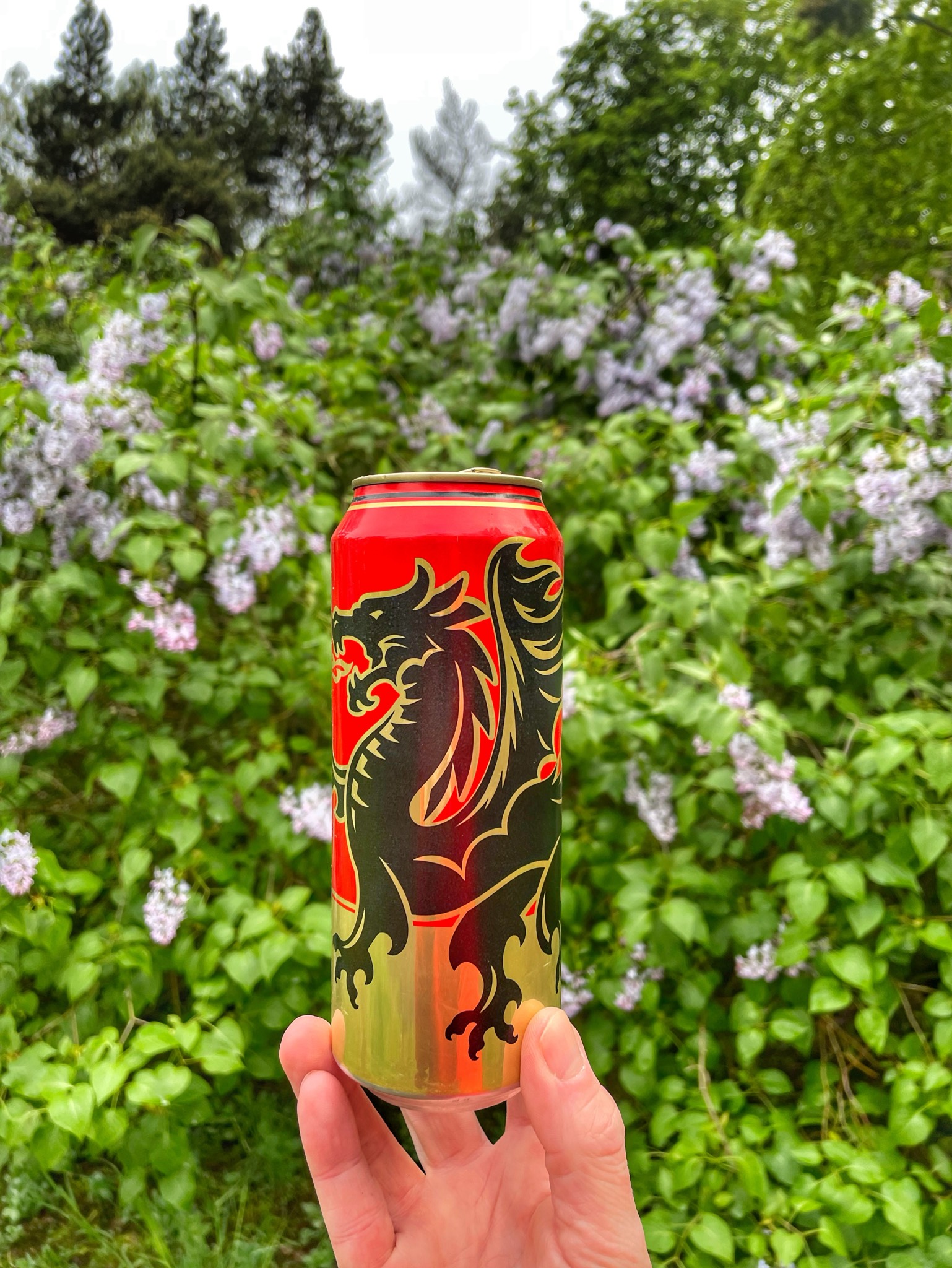 Black Dragon Celtic Amber, Cosmos Brewery (Thai Beverages)