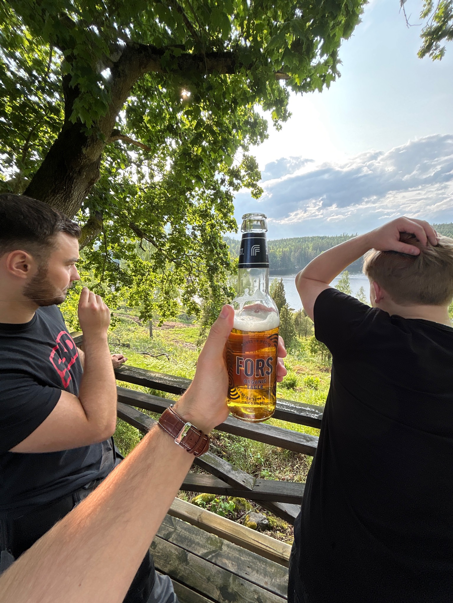 Fors organism lager, Sweden