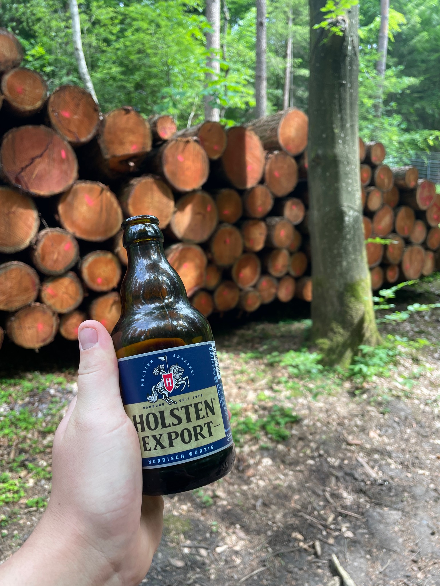 Holsten Export Premium, Germany