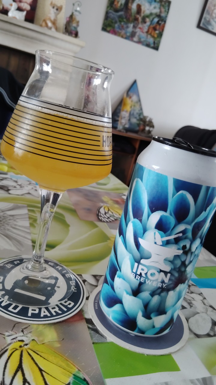DDH IPA Citra-Mosaïc, France