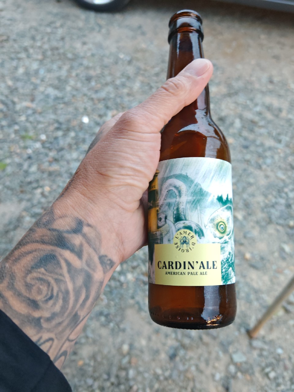 La Cardin'Ale, L'Amer D'Iroise