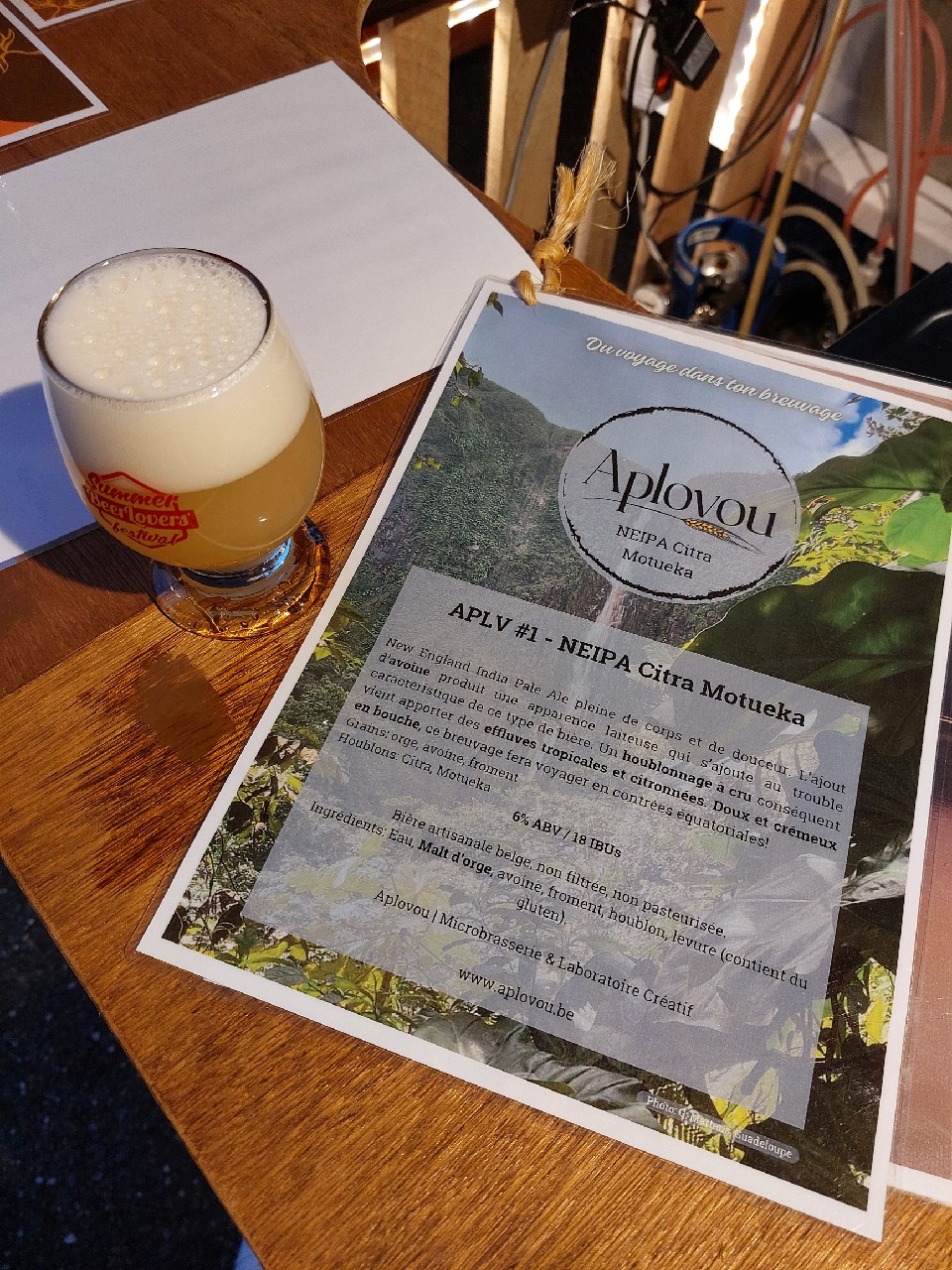 Aplv #1 NEIPA Citra Motueka, Belgium