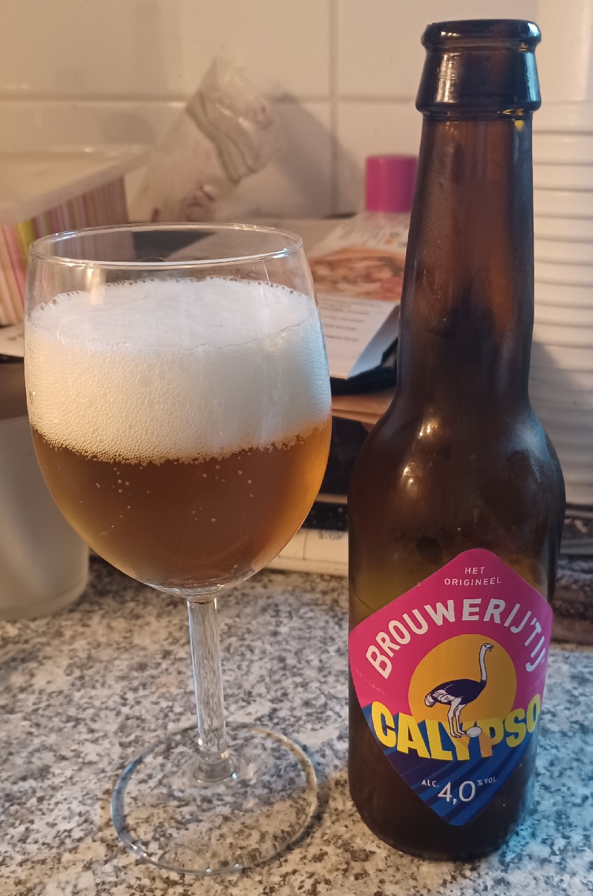 Calypso, Netherlands