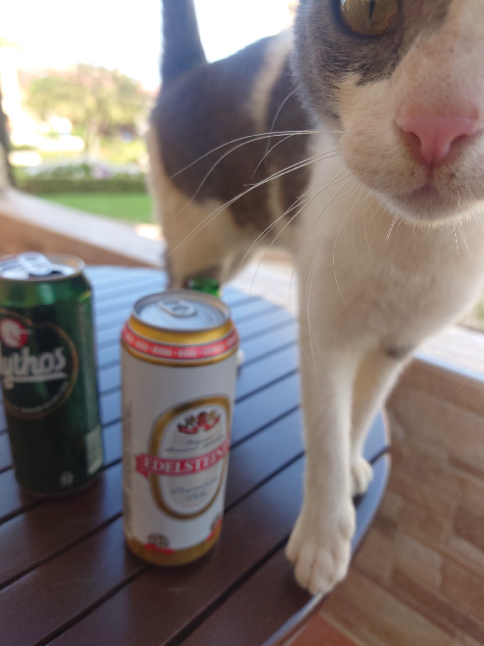 Edelsteiner Premium Pils, Greece