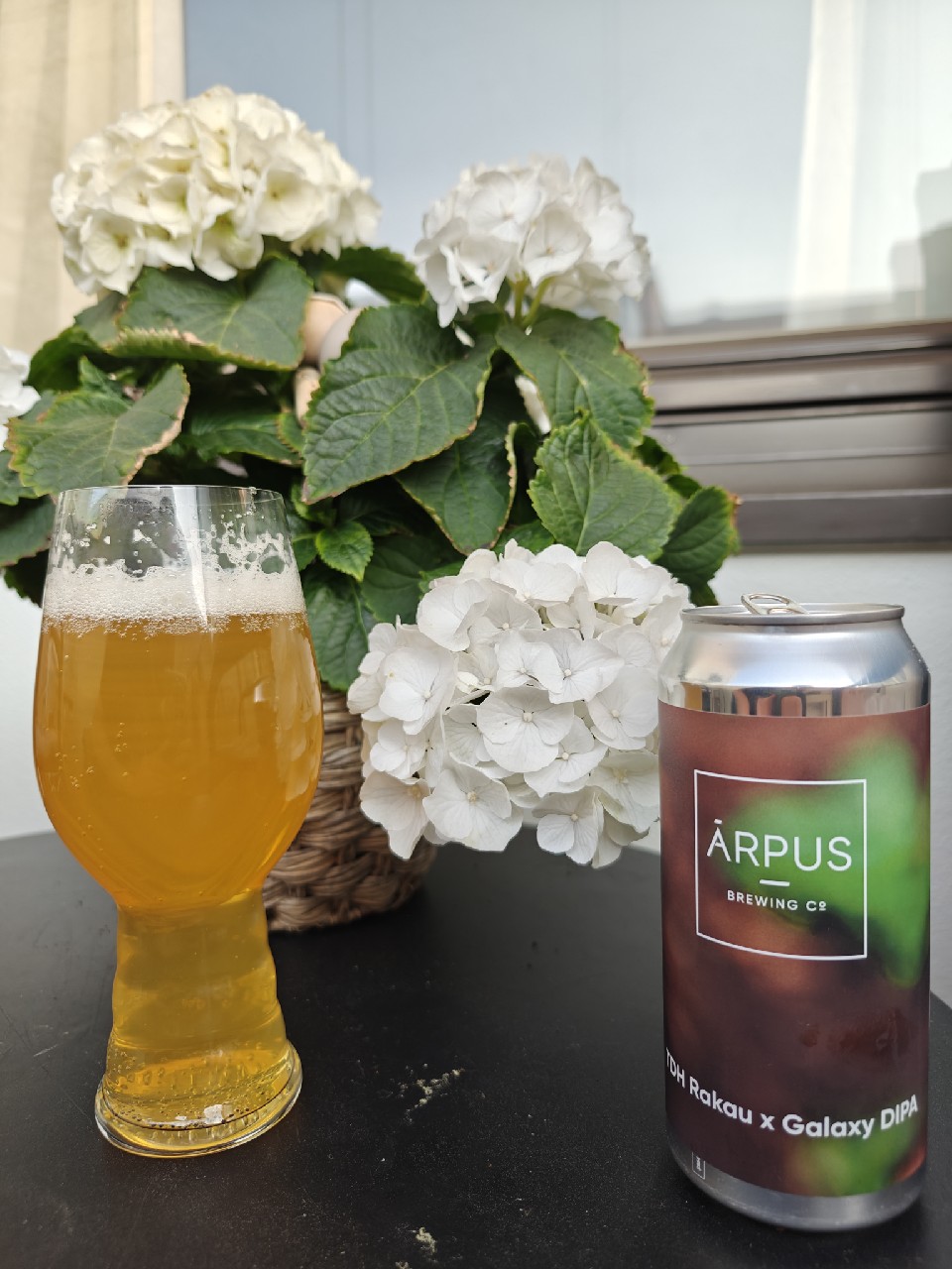 tdh rakau x galaxy dipa, Latvia