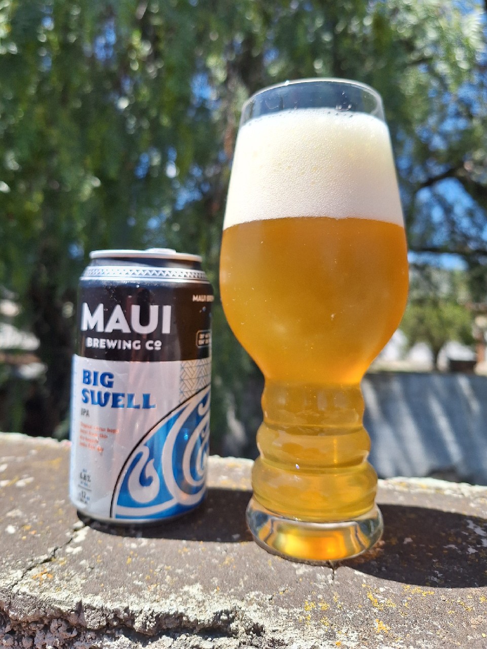 Big Swell IPA, Maui Brewing Company