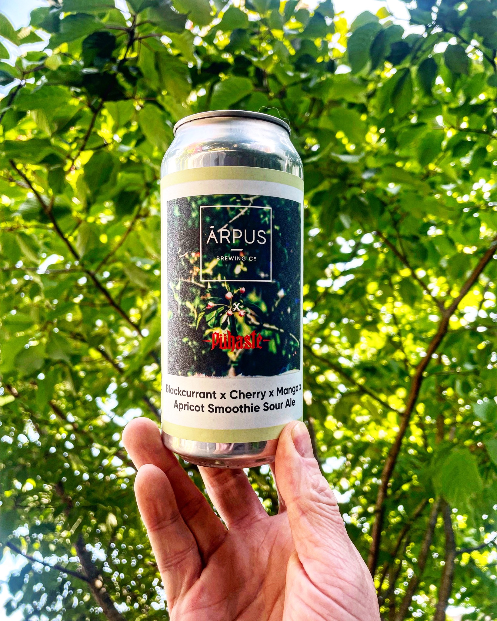 Blackcurrant x Cherry x Mango x Apricot Smoothie Sour Ale, Latvia