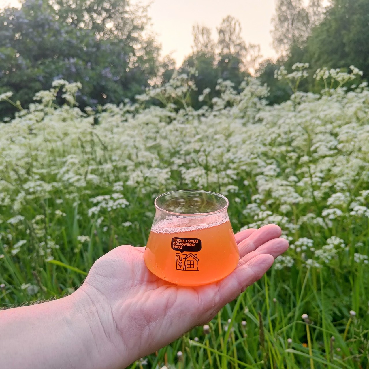 Wild Child o' Mine – First Born, Teva Brew