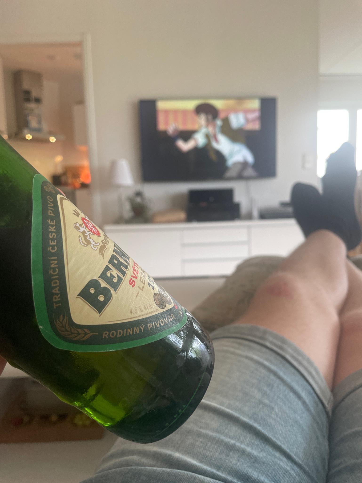 Bohemian Lager / Světlý Ležák 11°, Czech Republic