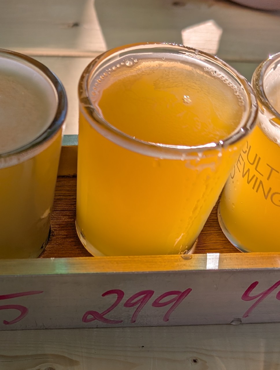 299 Turmeric Ale, Faculty Brewing Co