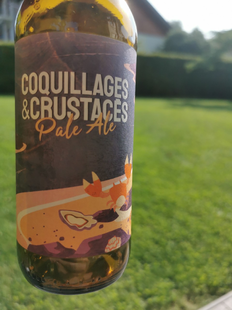 Coquillages Et Crustacés, France