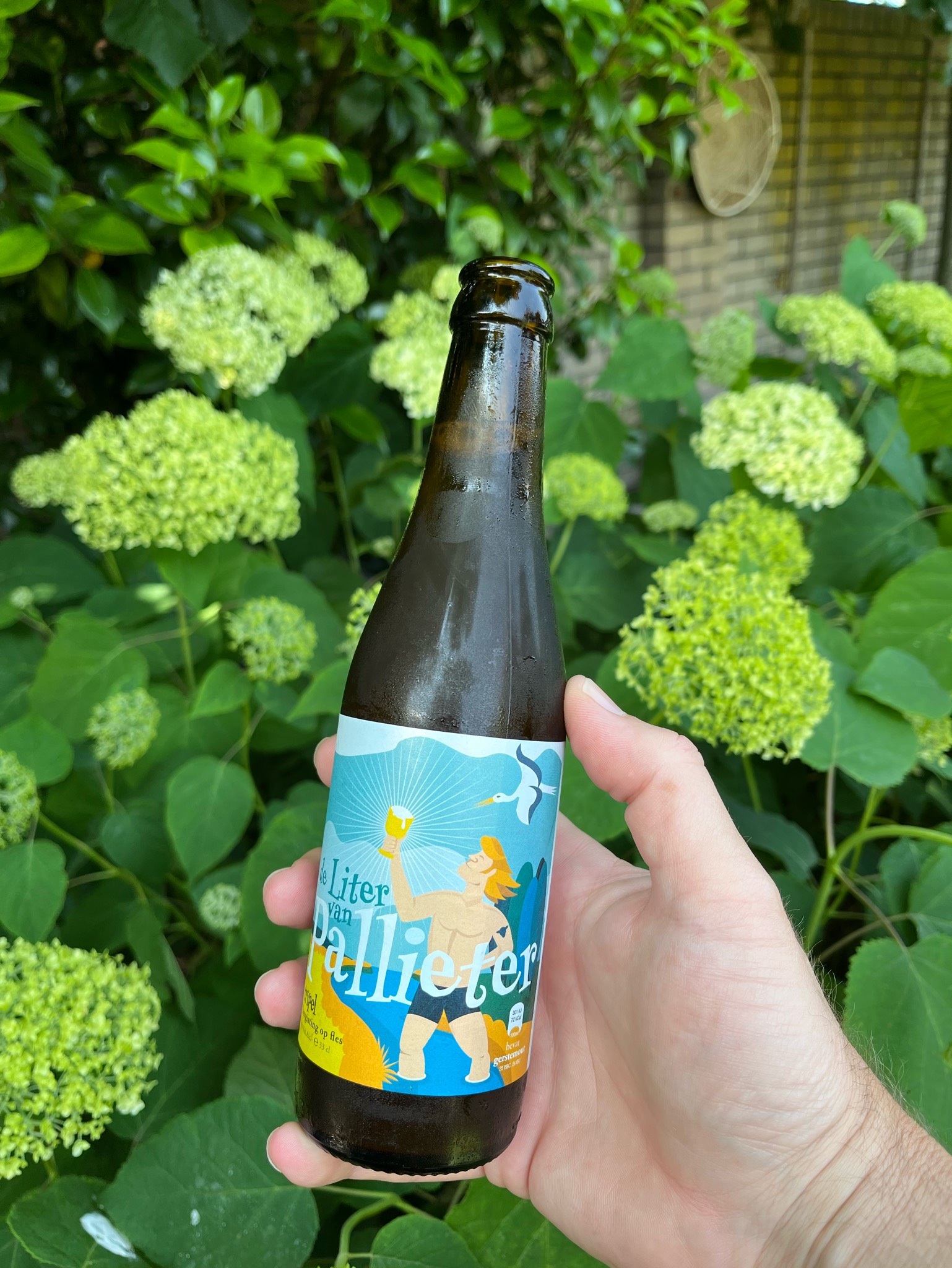 De liter van Pallieter, Achilles