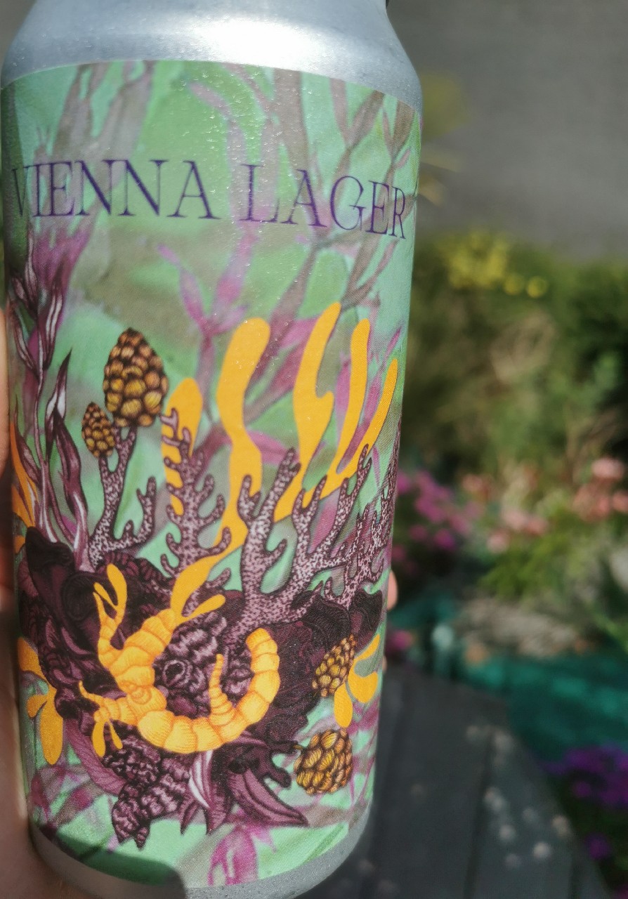 Torr Penn Vienna Lager, France