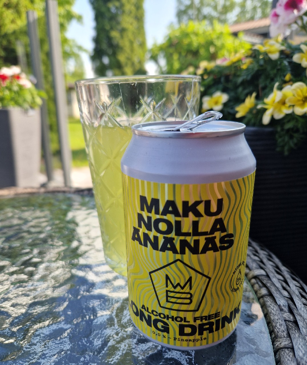 Nolla Änänäs, Finland