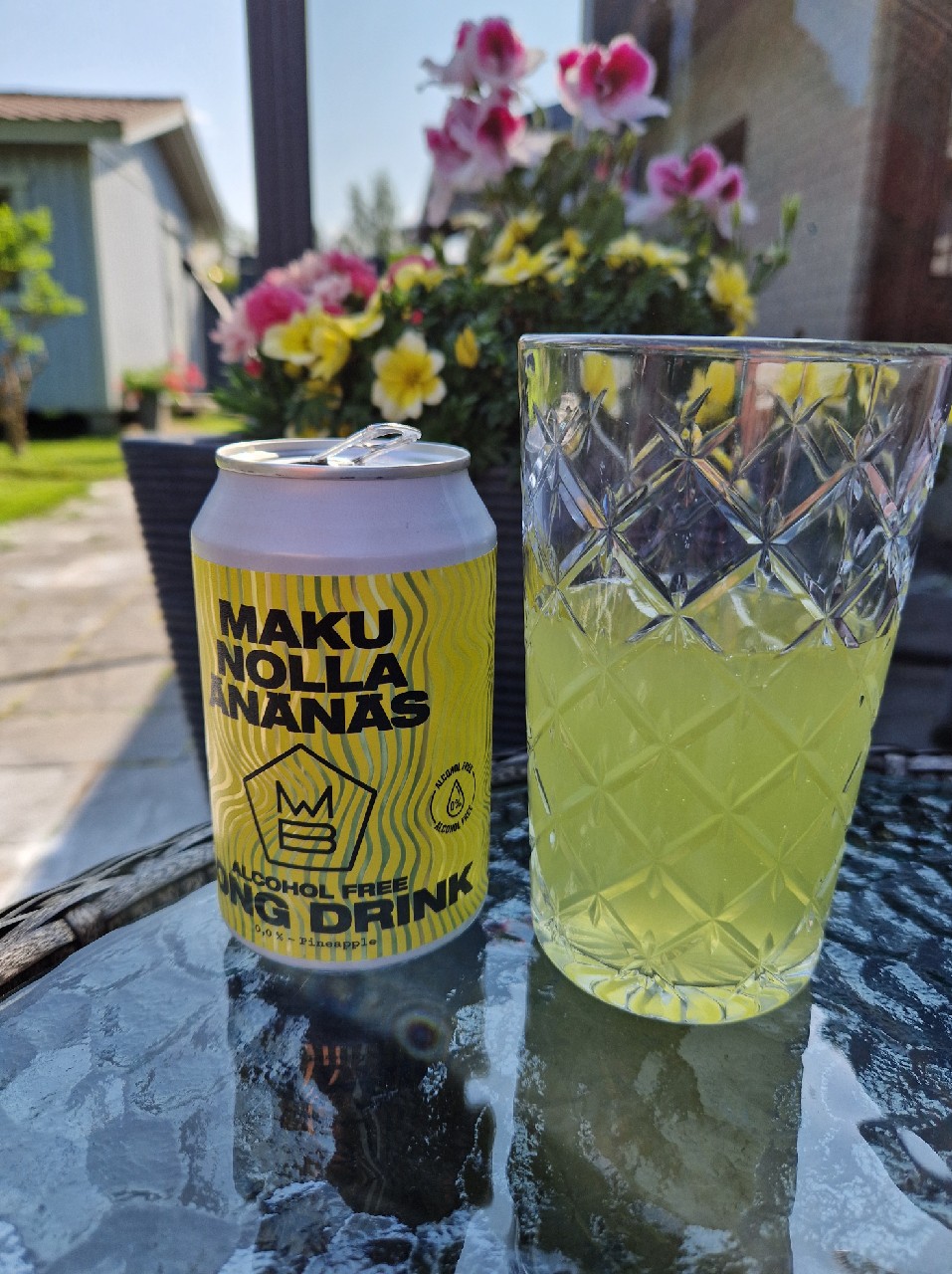 Nolla Änänäs, Finland