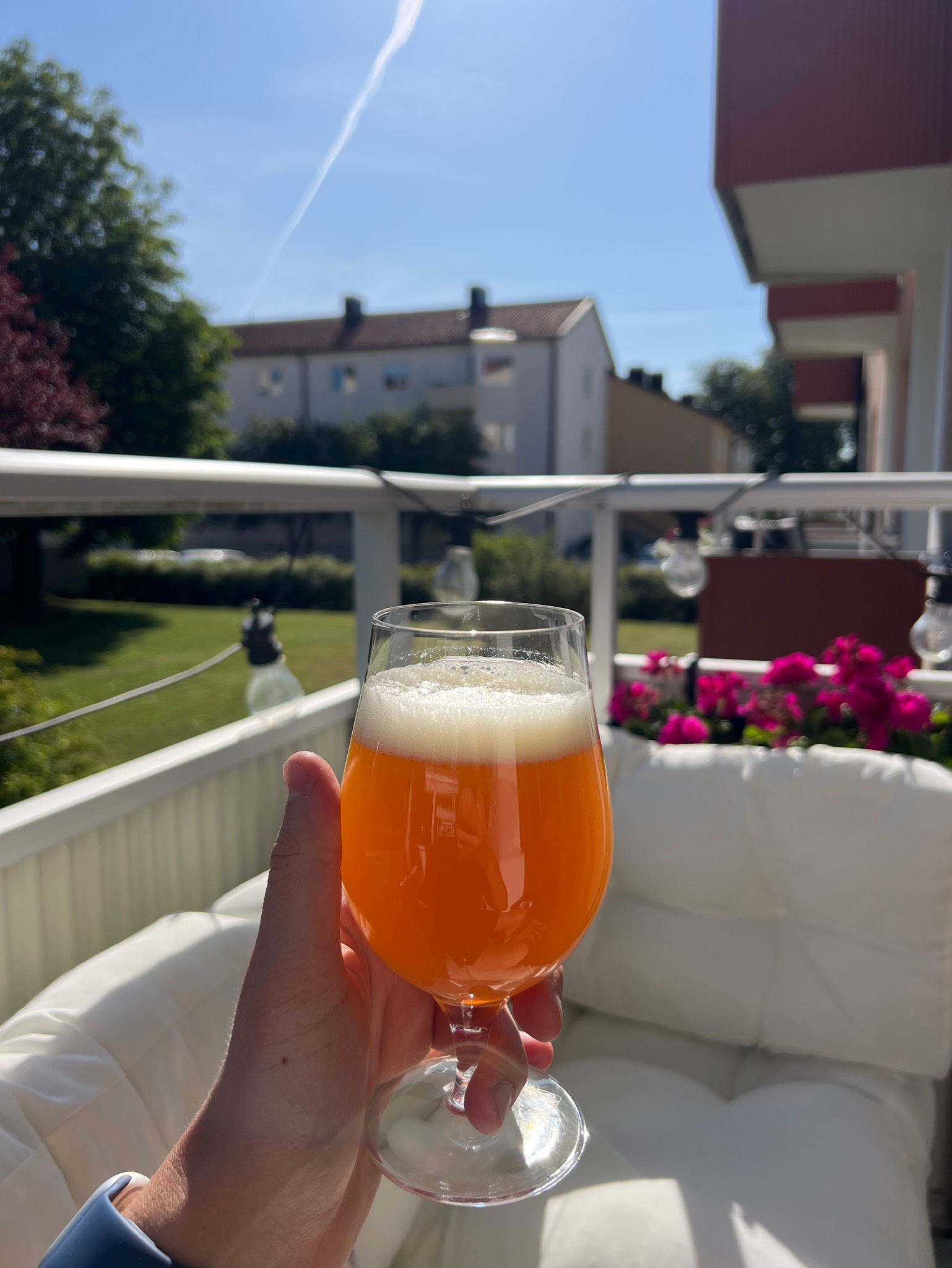 Hi-Fi IPA, Sweden