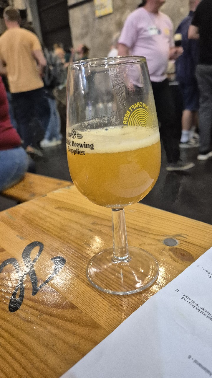 Pineapple X Apricot X Vanilla Smoothie Sour Ale, Latvia