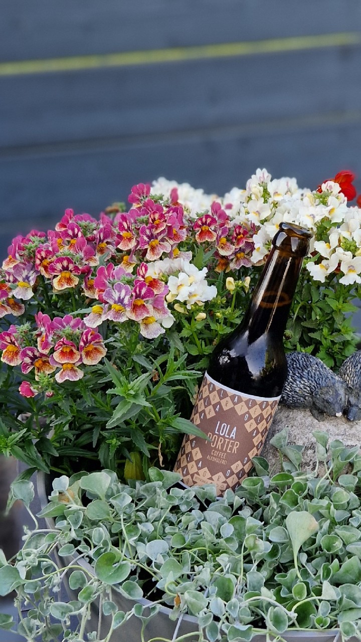 Lola Porter Coffee Alkoholfrei, Lola