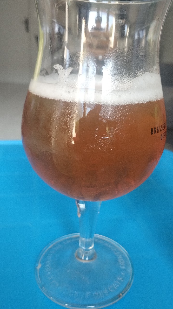 La Peinte, Célestin - La Micro-Brasserie Du Vieux-Lille