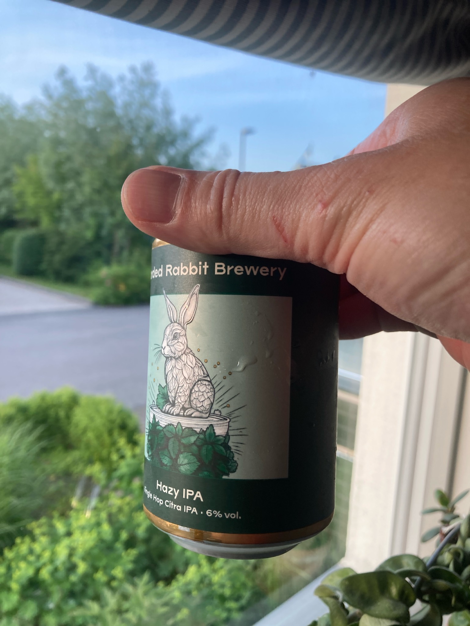 Single Hop Citra Ipa, Sweden