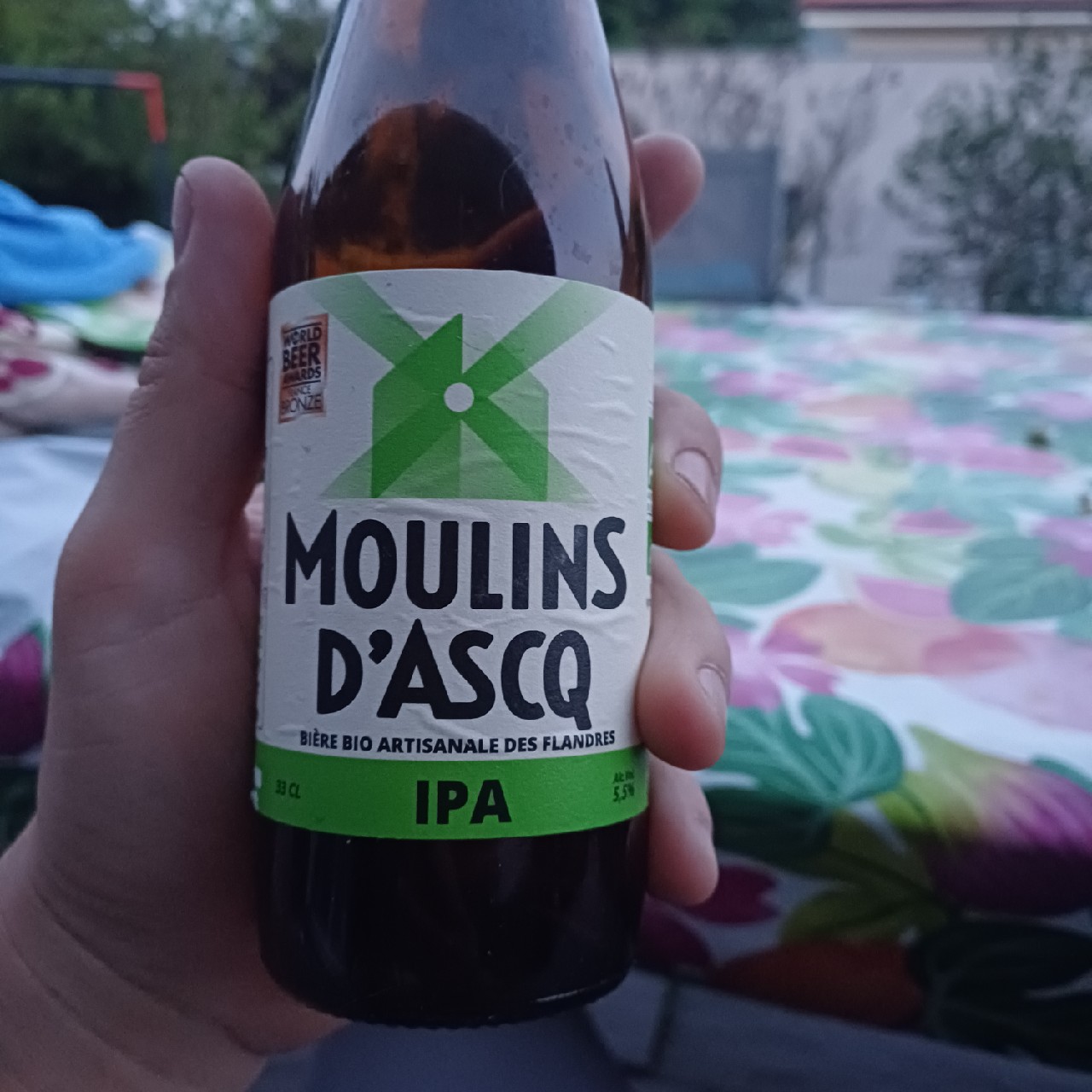 Moulins D'Ascq IPA, France