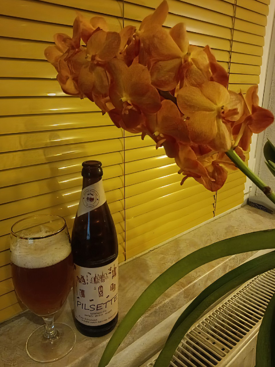 Pilsette, FKM Bier UG