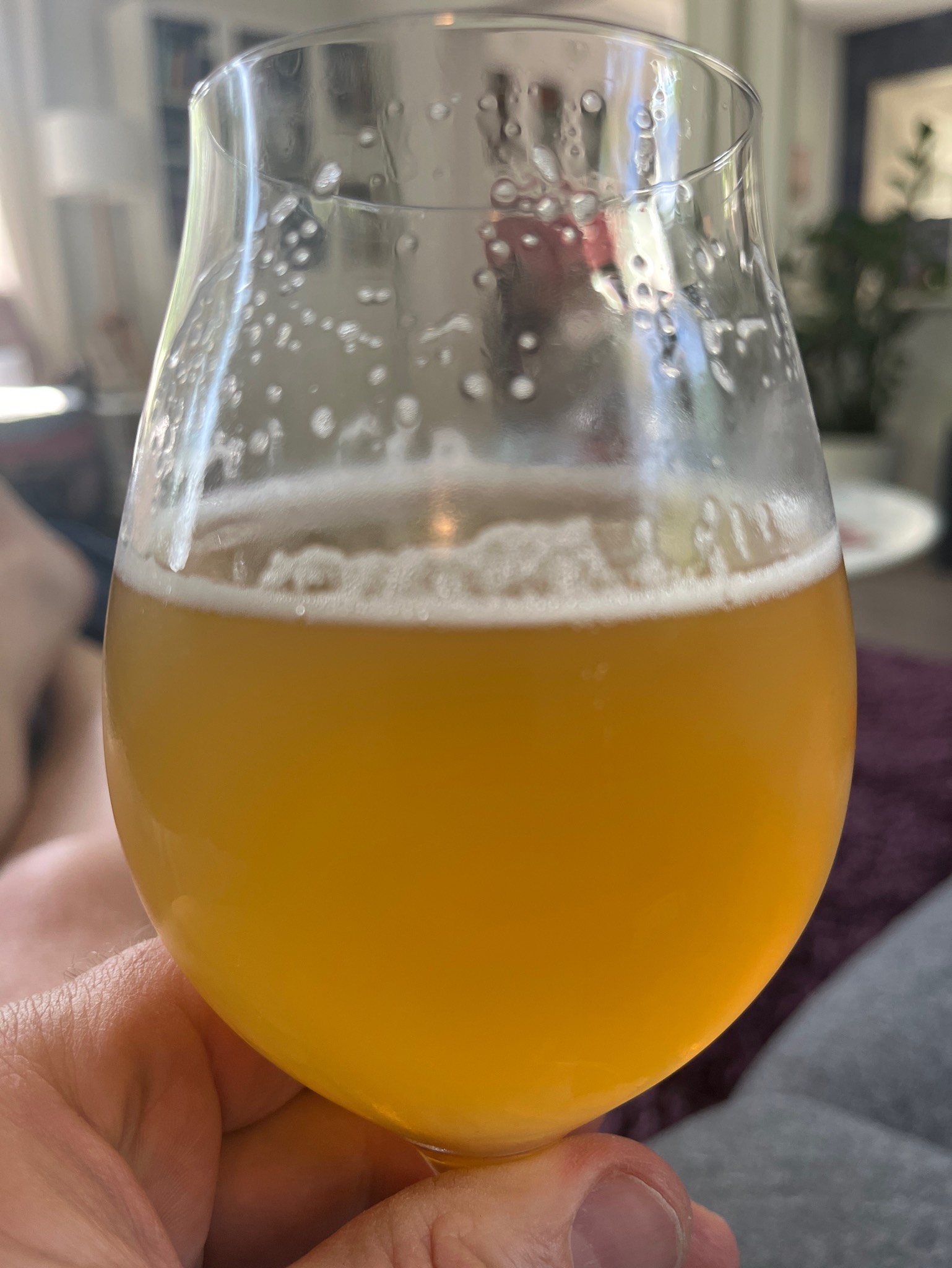 Western Mutant, United States