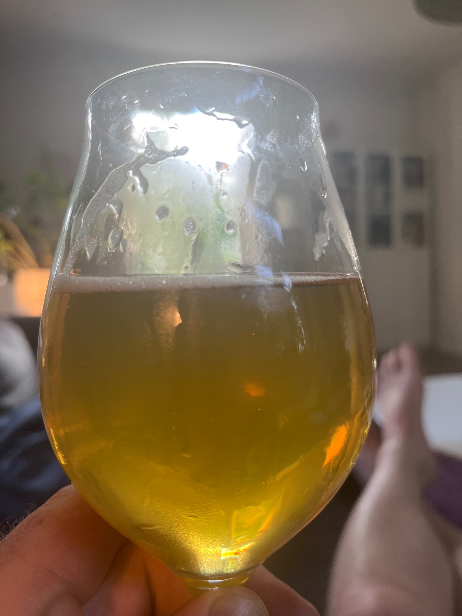 Dale's American IPA, United States