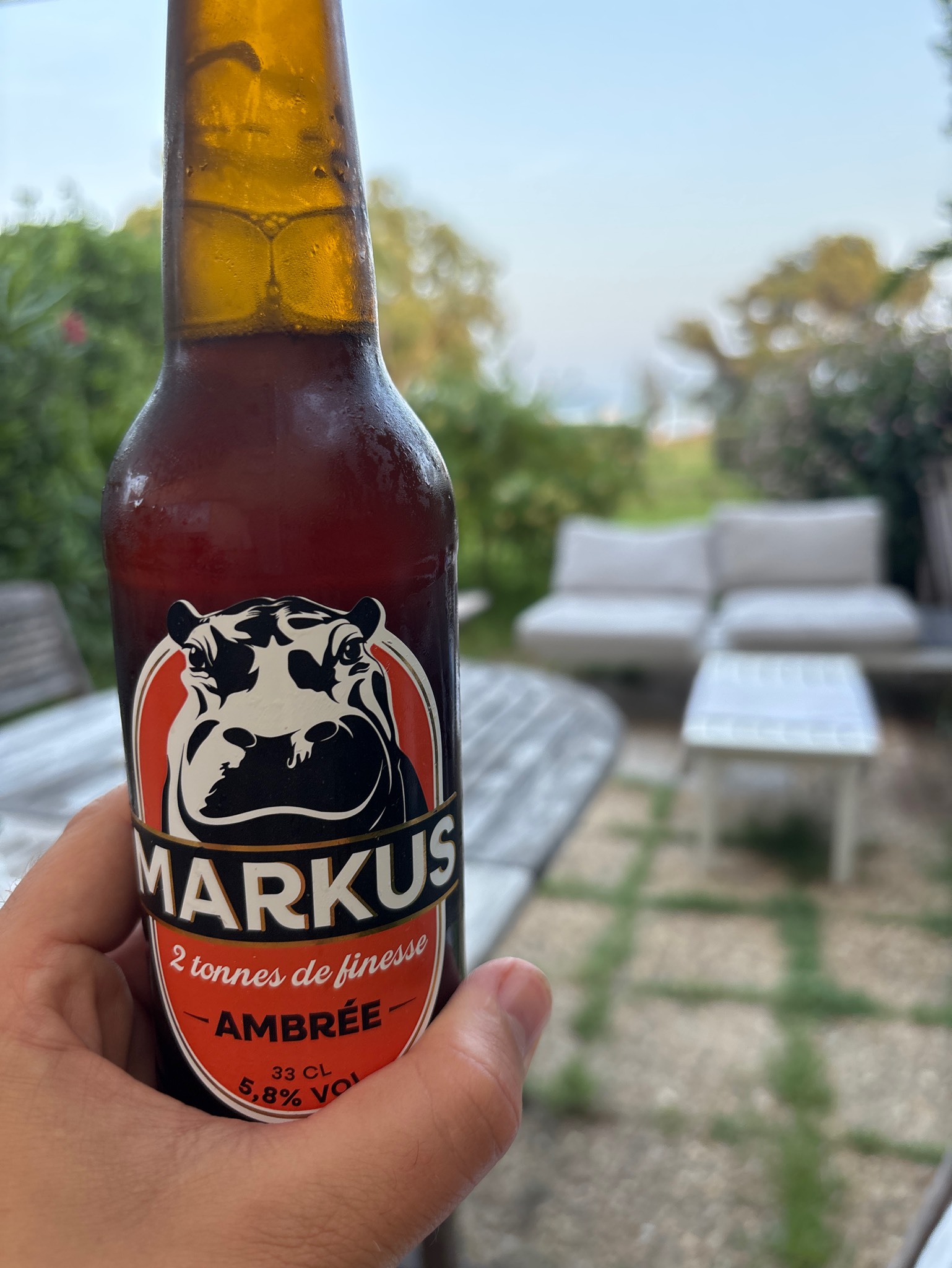 Markus Ambrée, France