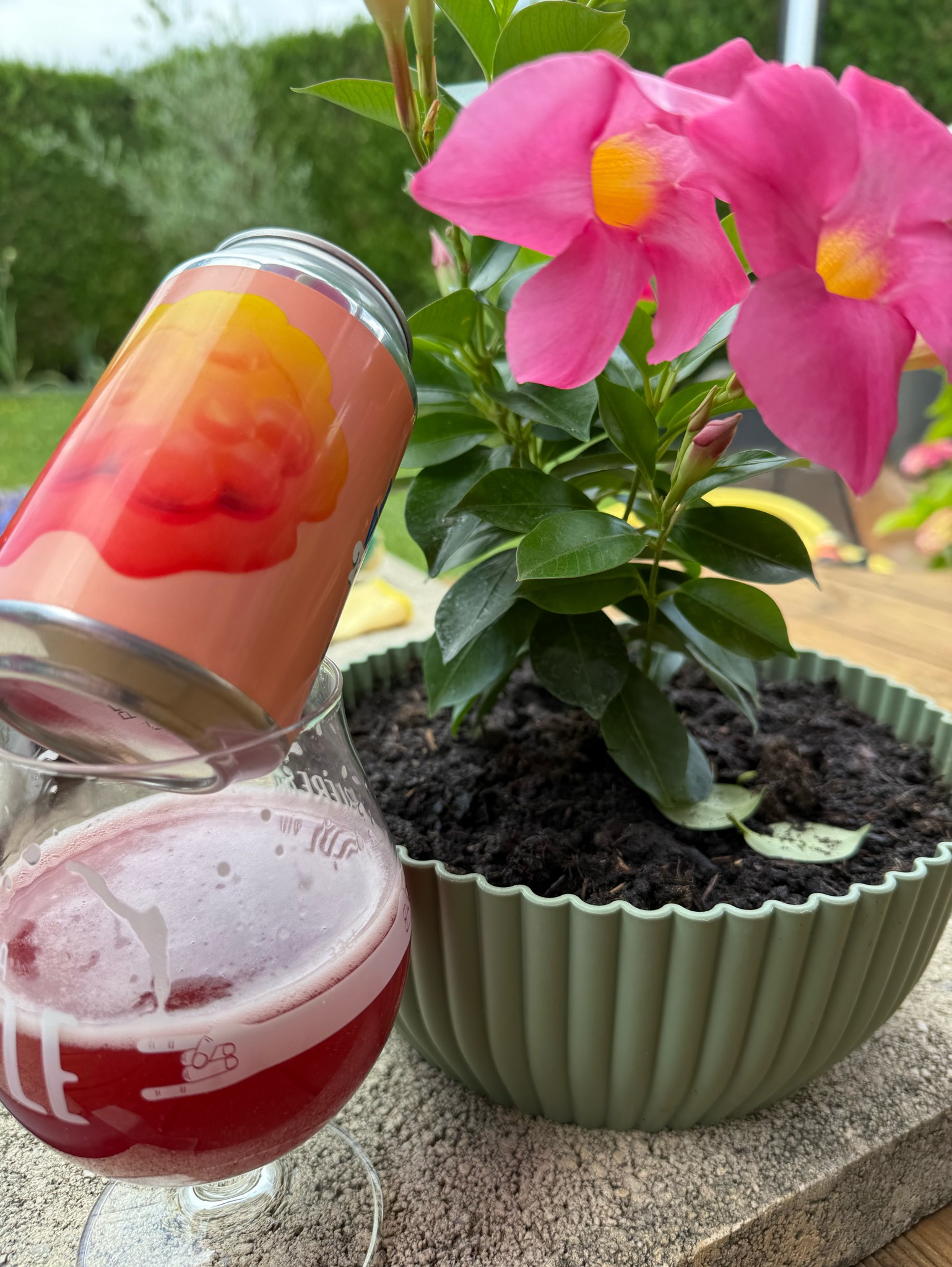 Fruit World Famous Raspberry Pie Sour, Omnipollo