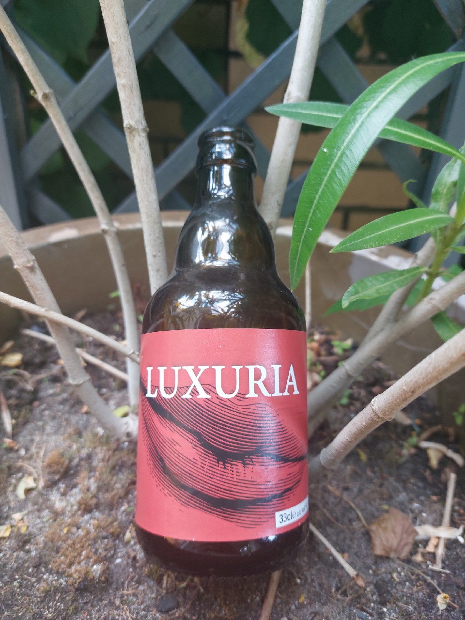 Luxuria 2018, Hugel