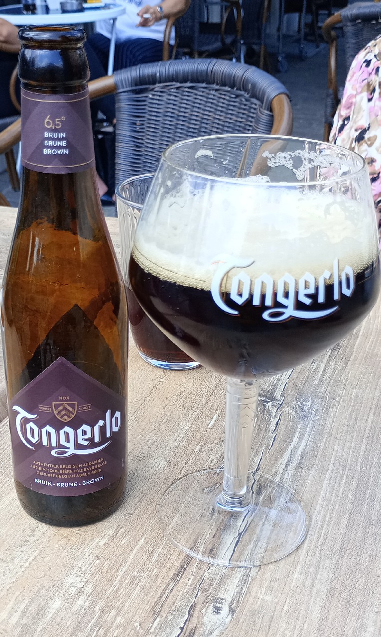 Tongerlo Bruin / Brune, Belgium