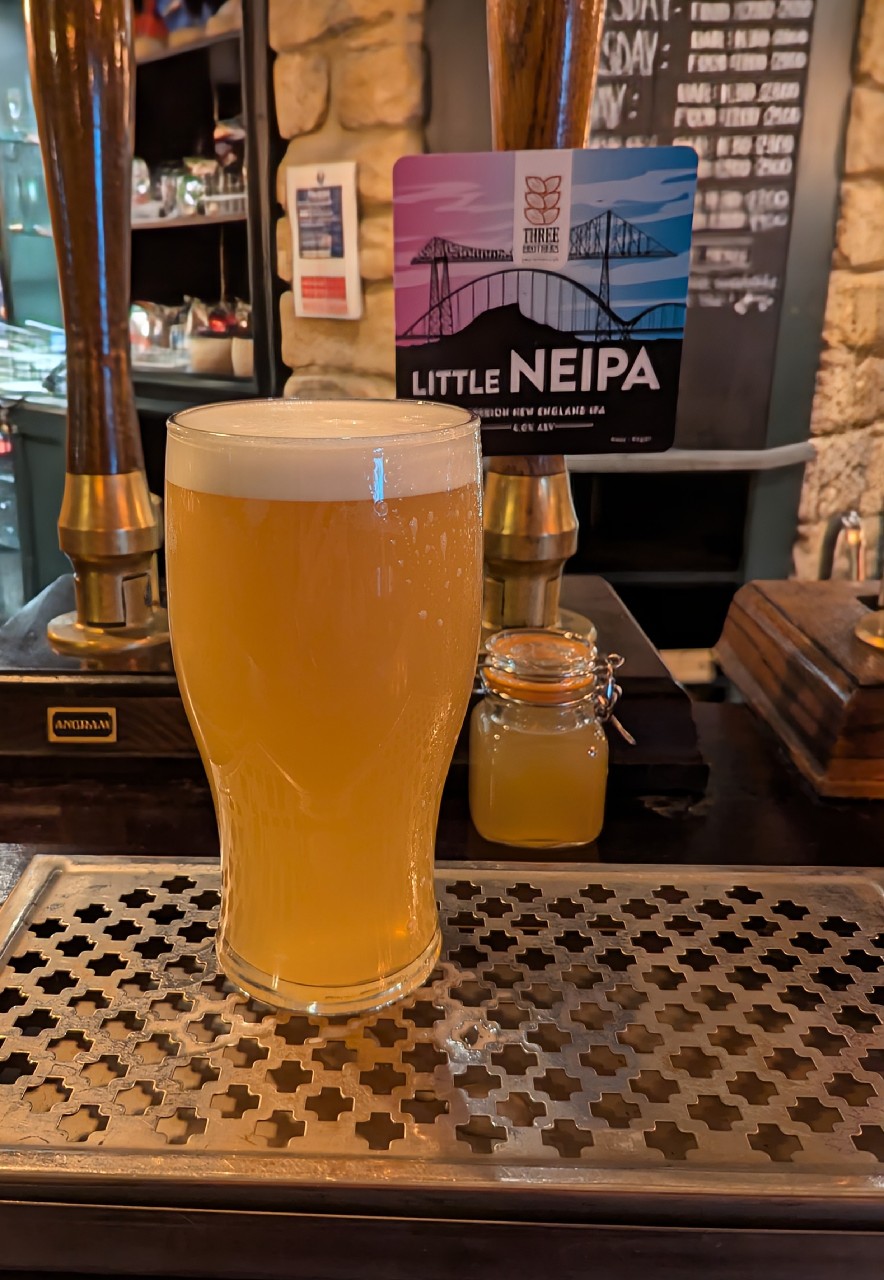 Little NEIPA, Three Brothers Brewing Co