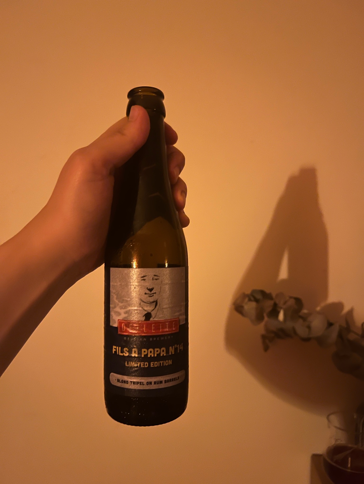 Fils à papa °14, Belgium