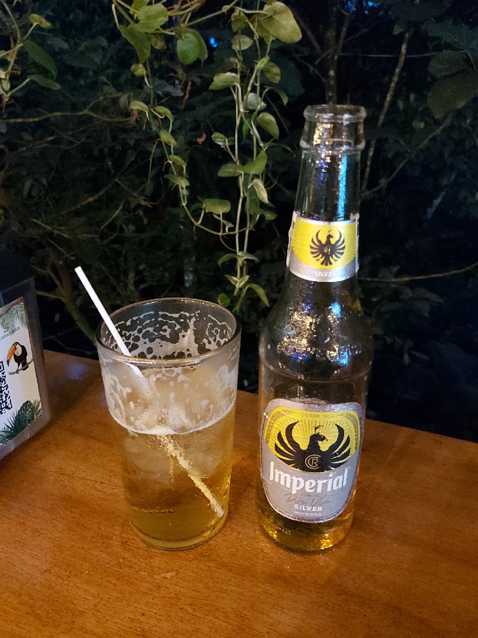 Imperial Silver, Costa Rica