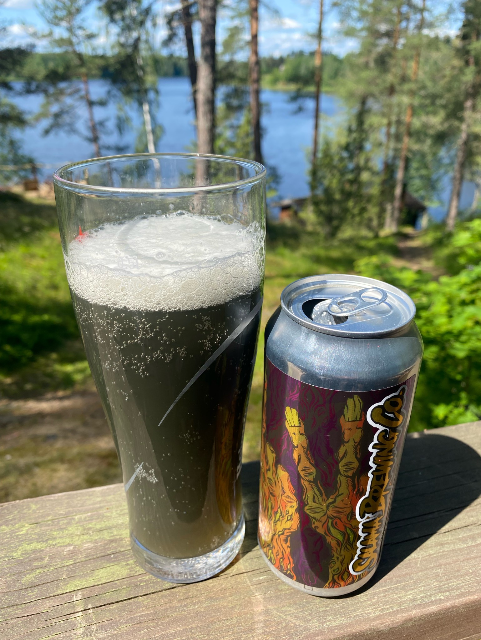 Flippin Two Birds, Finland