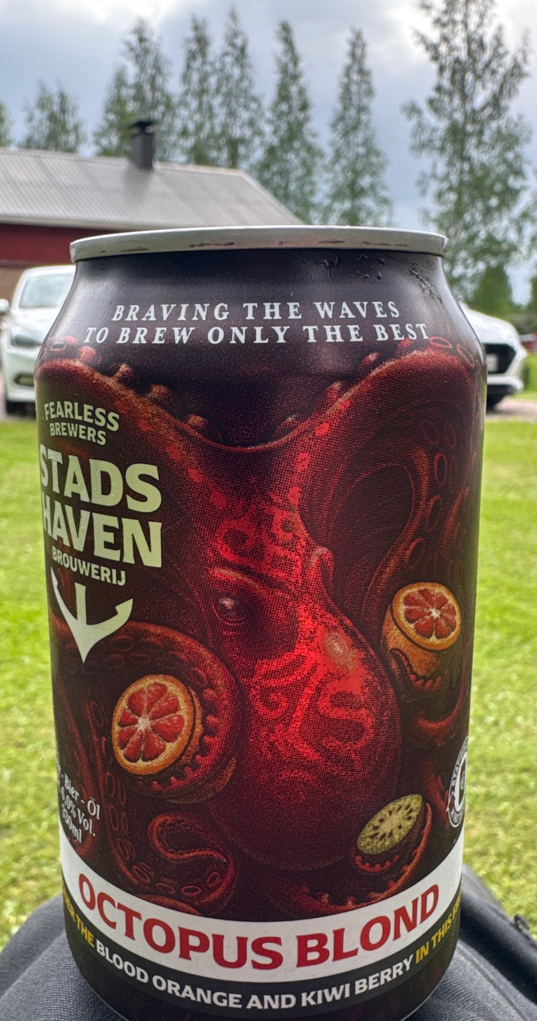 Octopus / Kraken Blond, Netherlands