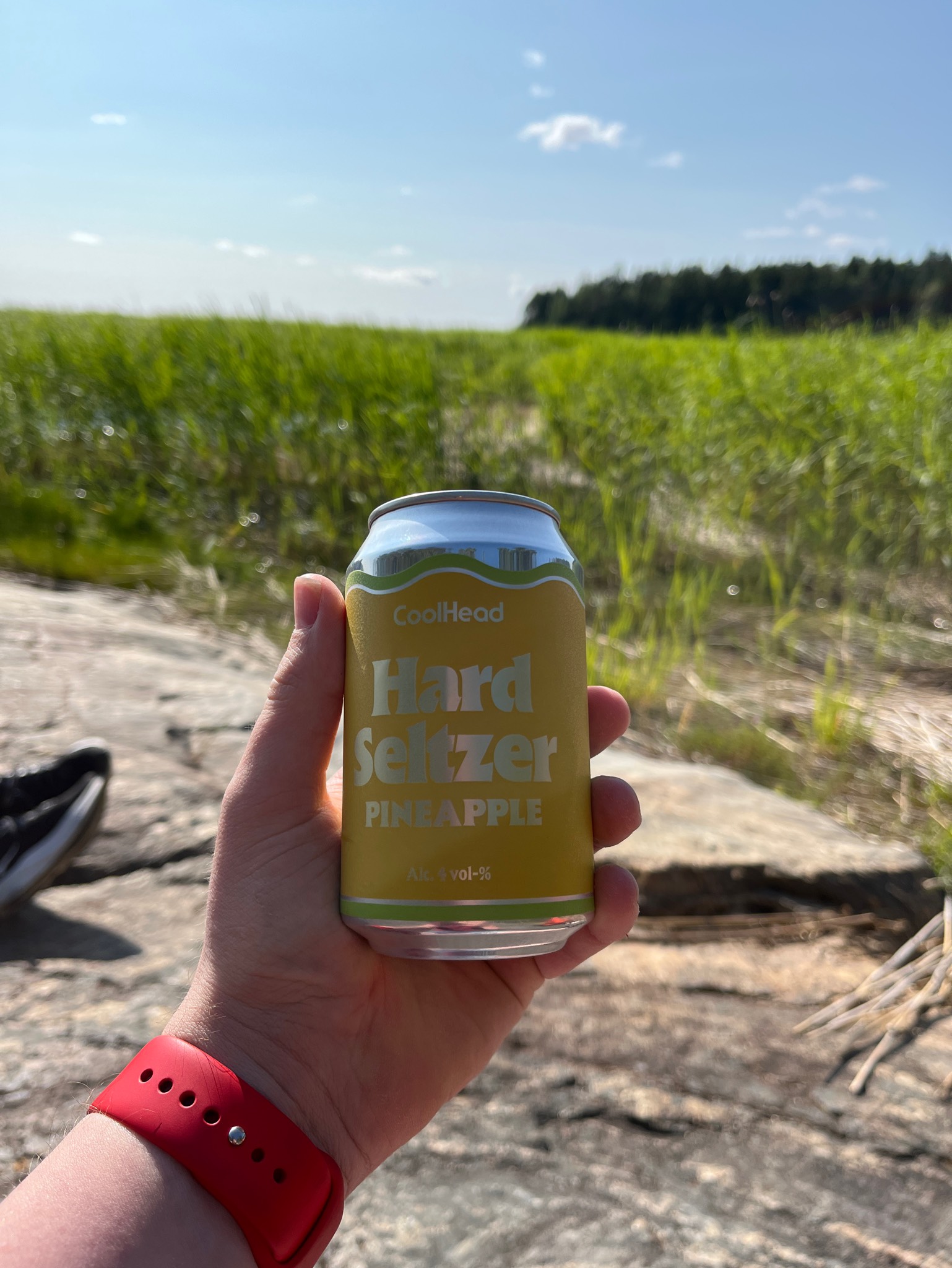 Hard Seltzer Pineapple, Finland