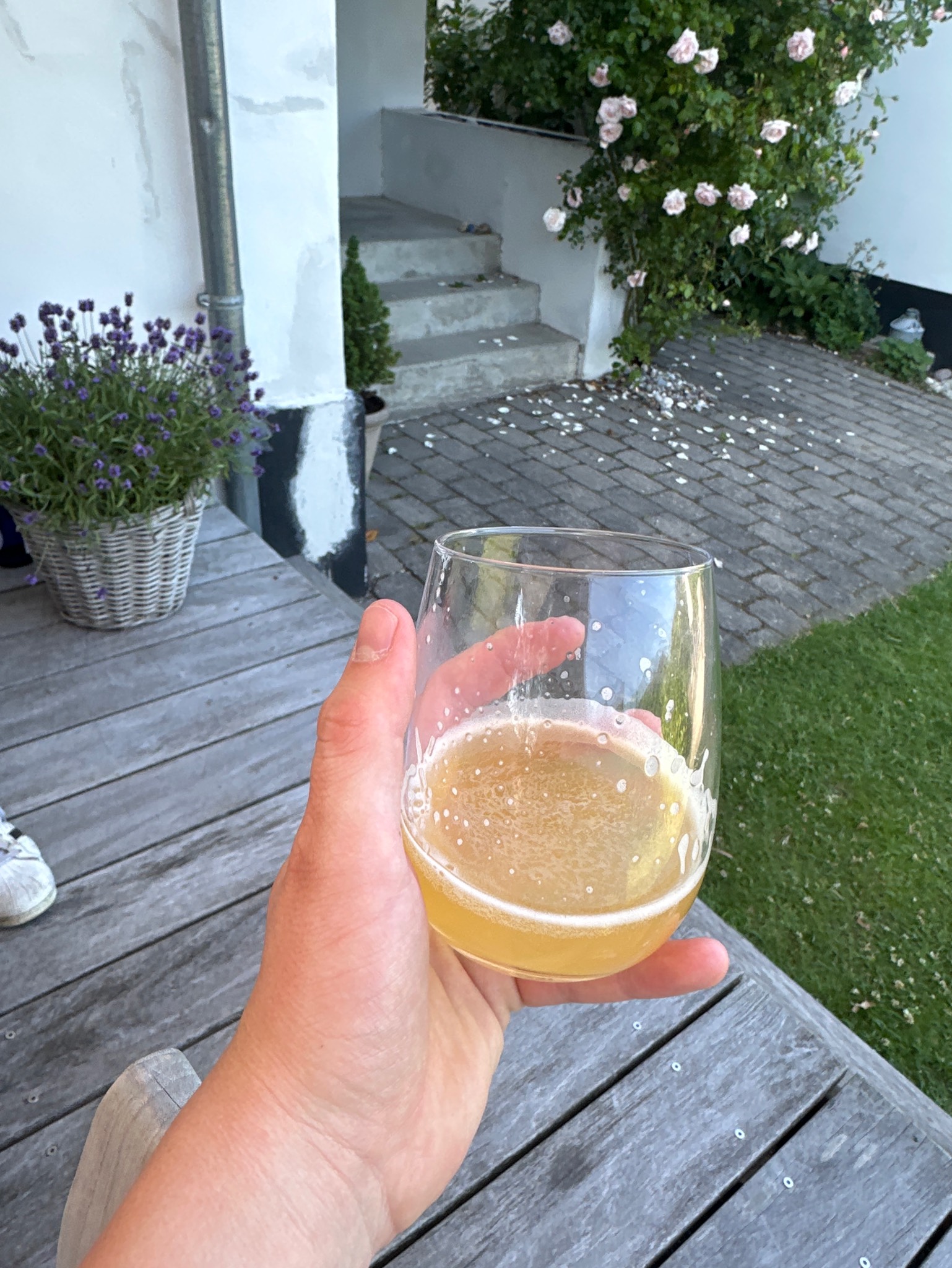 Dragonfruit Weissbier, Denmark