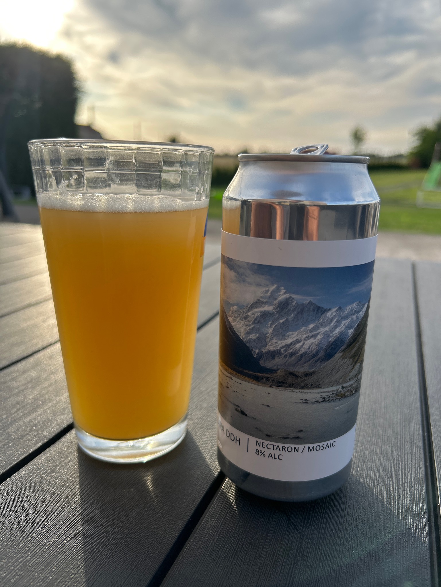 DIPA DDH Nectaron / Mosaic, France
