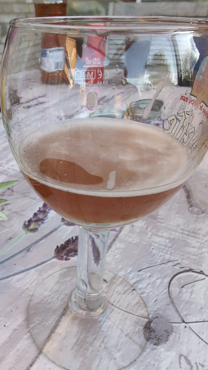 B51 Sureau Hibiscus, France