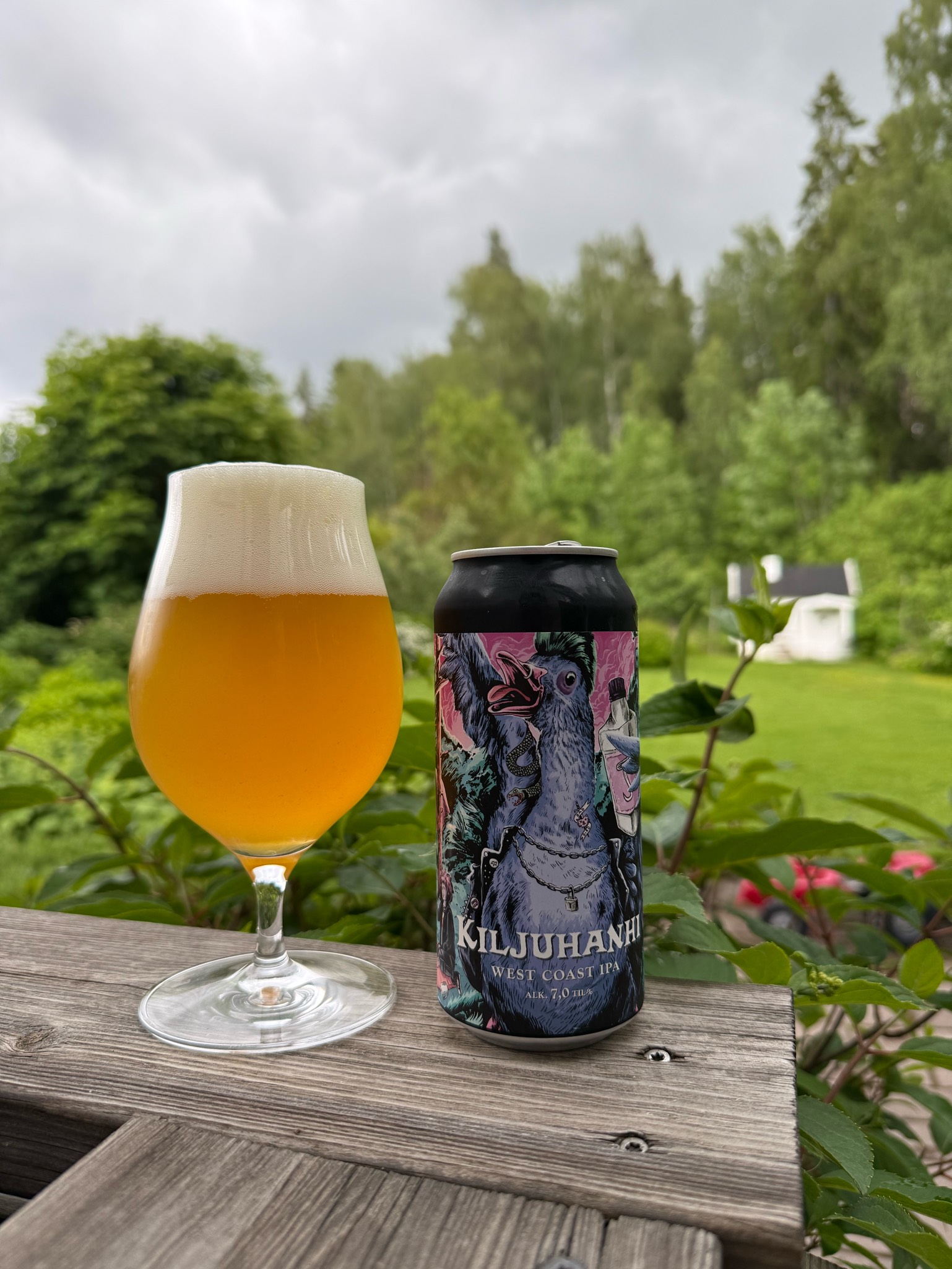 Kiljuhanhi, Finland