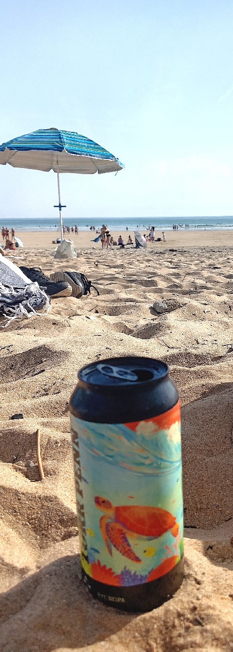 Torr Penn Rye NEIPA, France