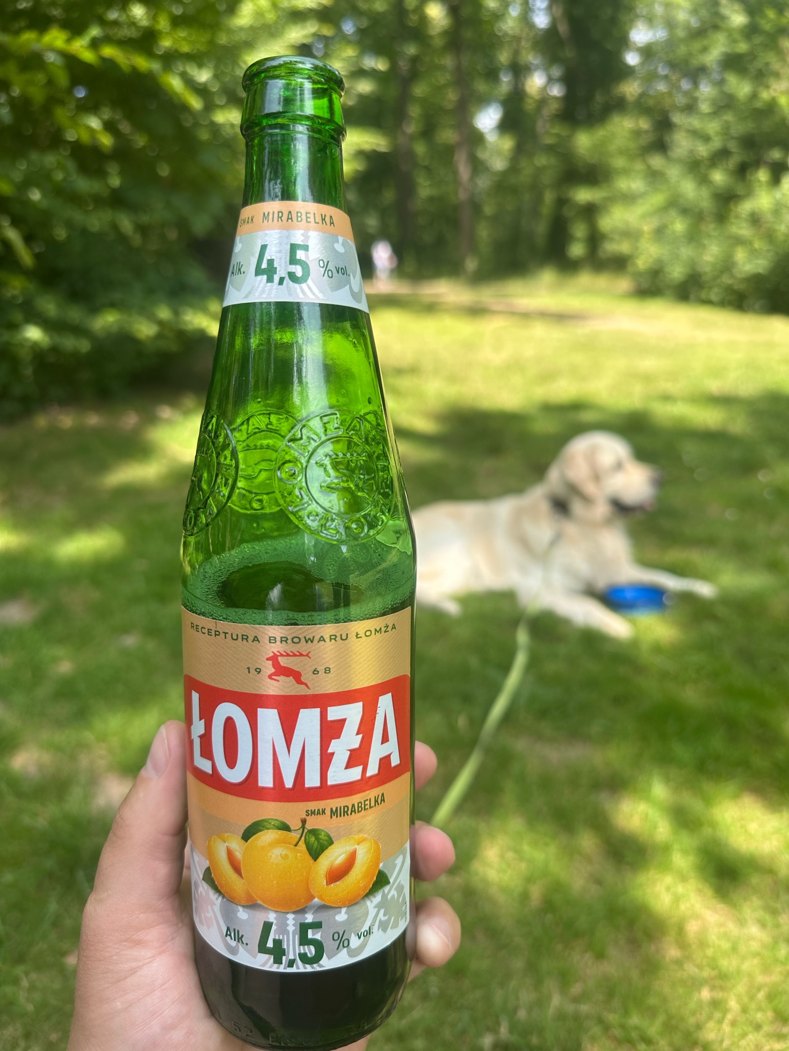 Łomza MIRABELKA, Poland