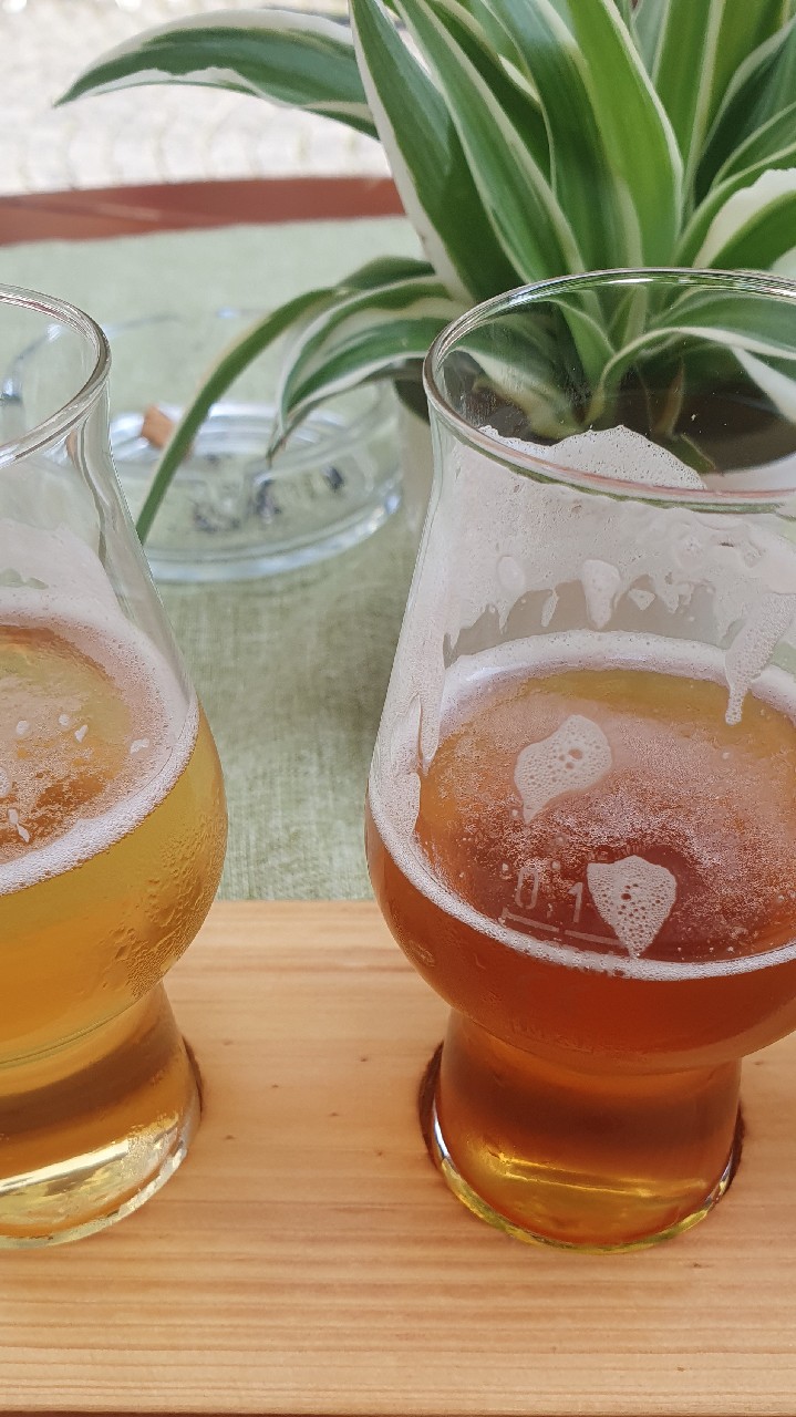 Schmid & Hops IPA, Germany