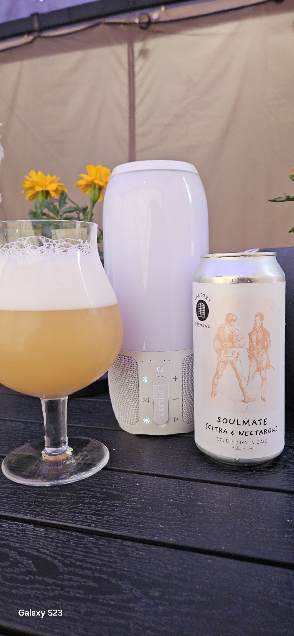 Soulmate (Citra & Nectaron), Finland