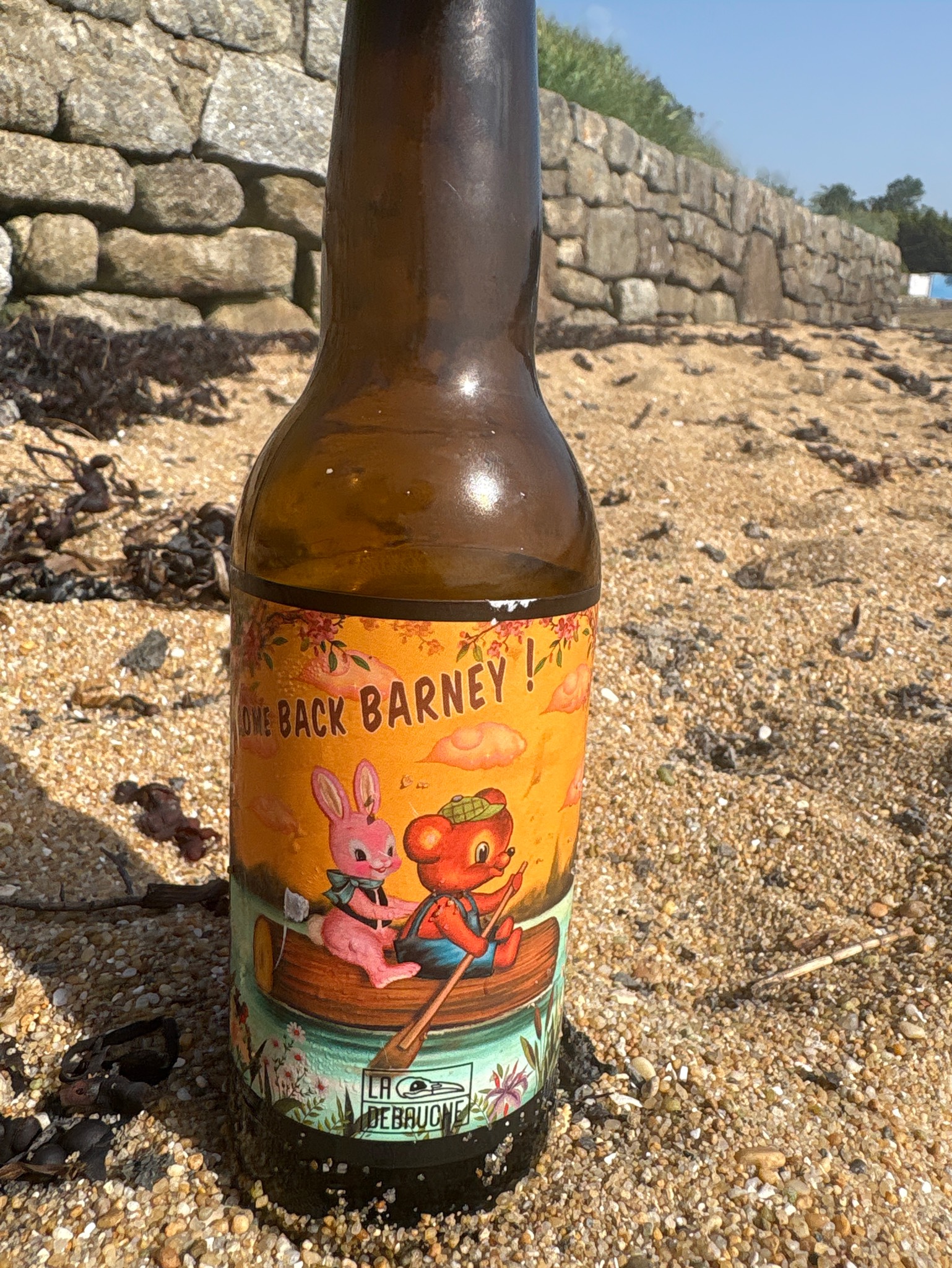 Come Back Barney !, France