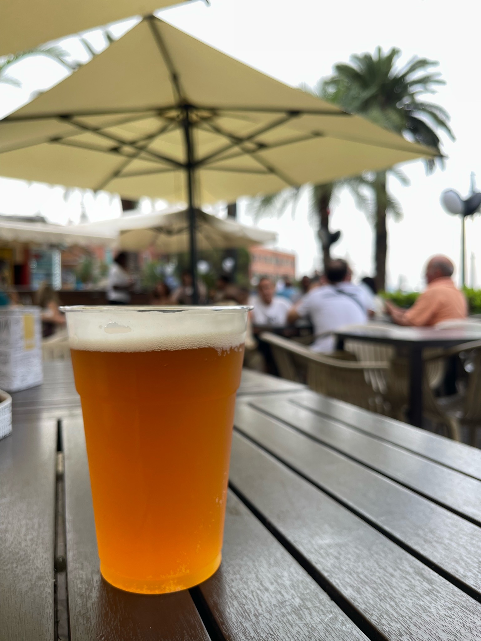 Theresianer India Pale Ale, Italy