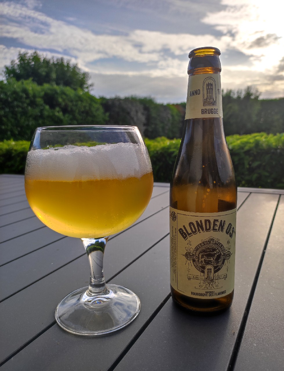 Blonden Os, Belgium