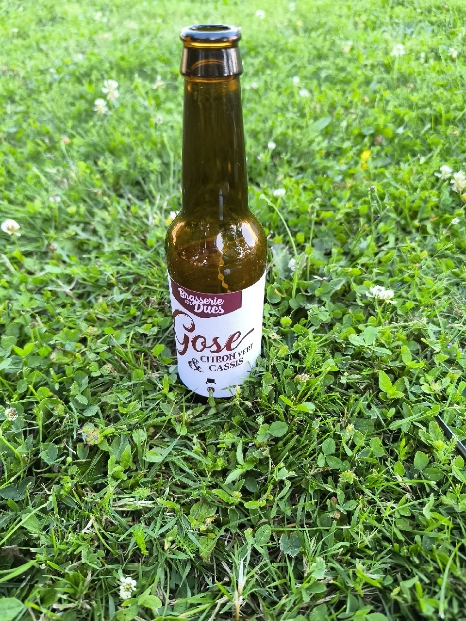Gose Citron Vert & Cassis, Brasserie Des Ducs